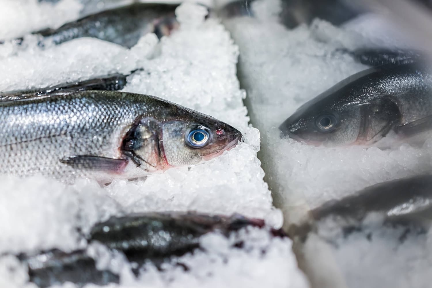 ‘Hooked’ but not reeled in by Asako Yuzuki’s new release