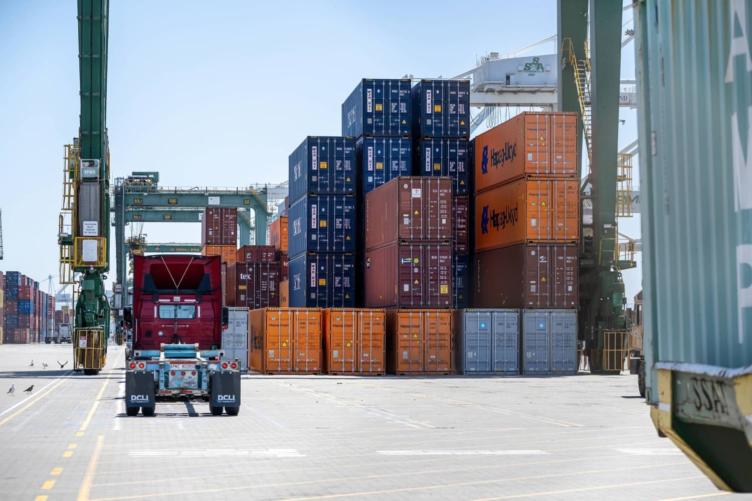 Activists target Japan’s shipping stocks on rising vessel prices