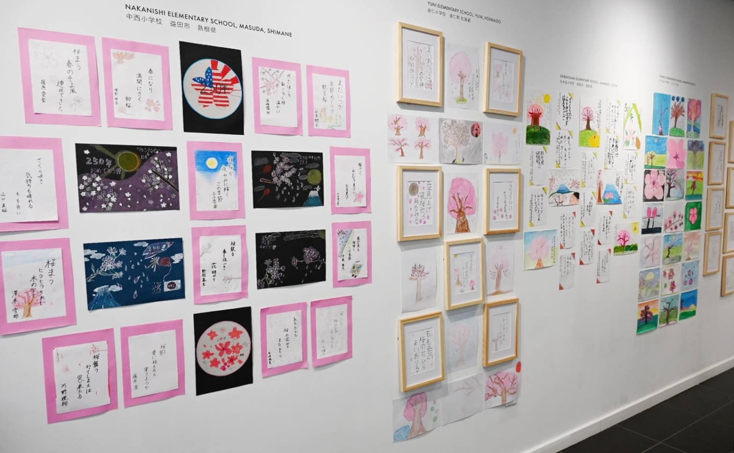 Cherry blossom haiku and art by Japanese and U.S. children on show in Washington