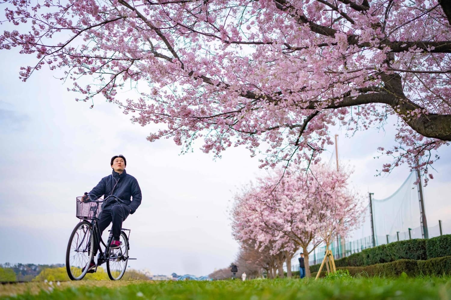 What to know about Japan’s new traffic rules for cyclists
