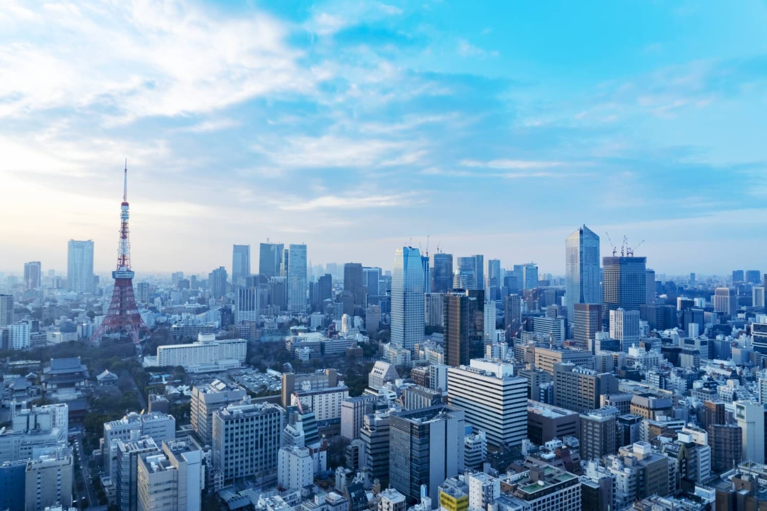 Government wants small firms to enhance business literacy