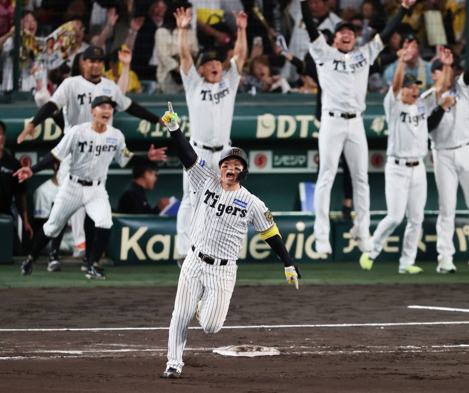 Roaring Tigers sit above rest of Central League as new season begins