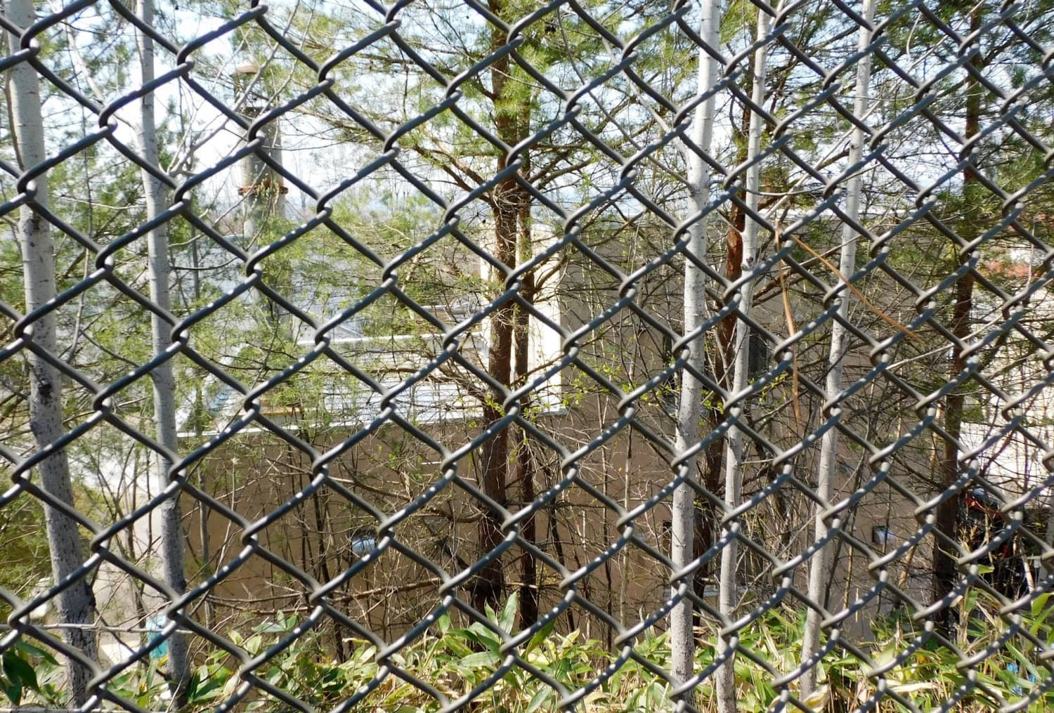 Zoo employee admits to burning wife’s body in incinerator