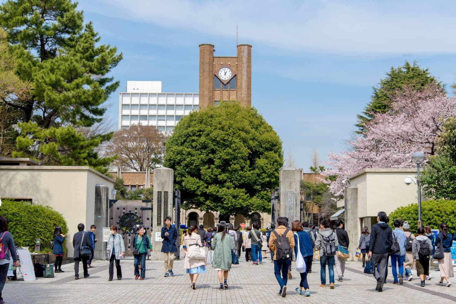 ChatGPT trounces humans in entrance exams for top Japan university, study finds