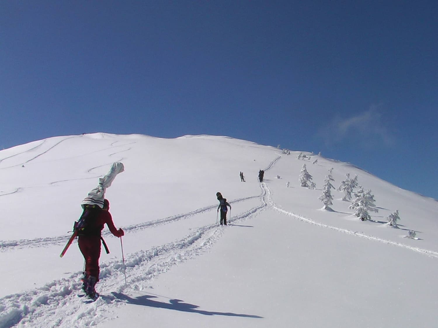 For tourists in Japan’s outdoor sports scene, safety is not guaranteed