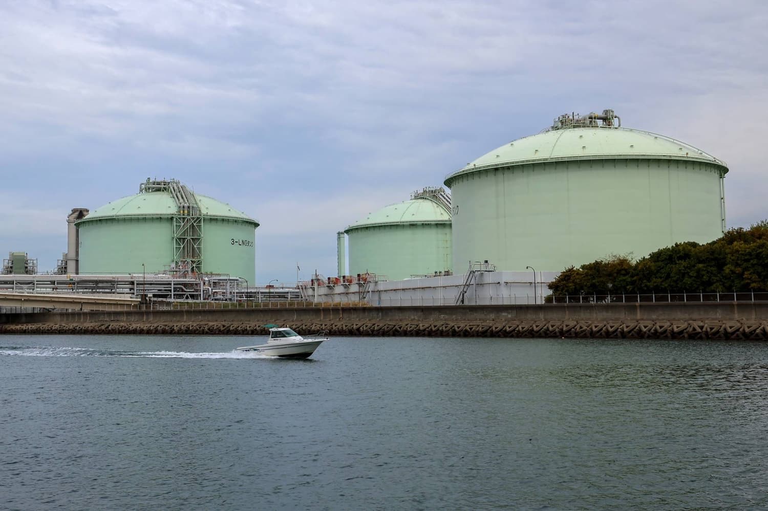 Japanese utilities withhold earnings guidance amid fuel volatility