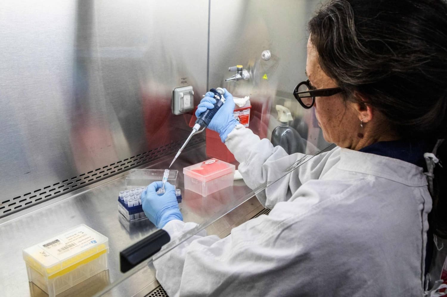 Risk of hantavirus transmitting between humans is low, health ministry says