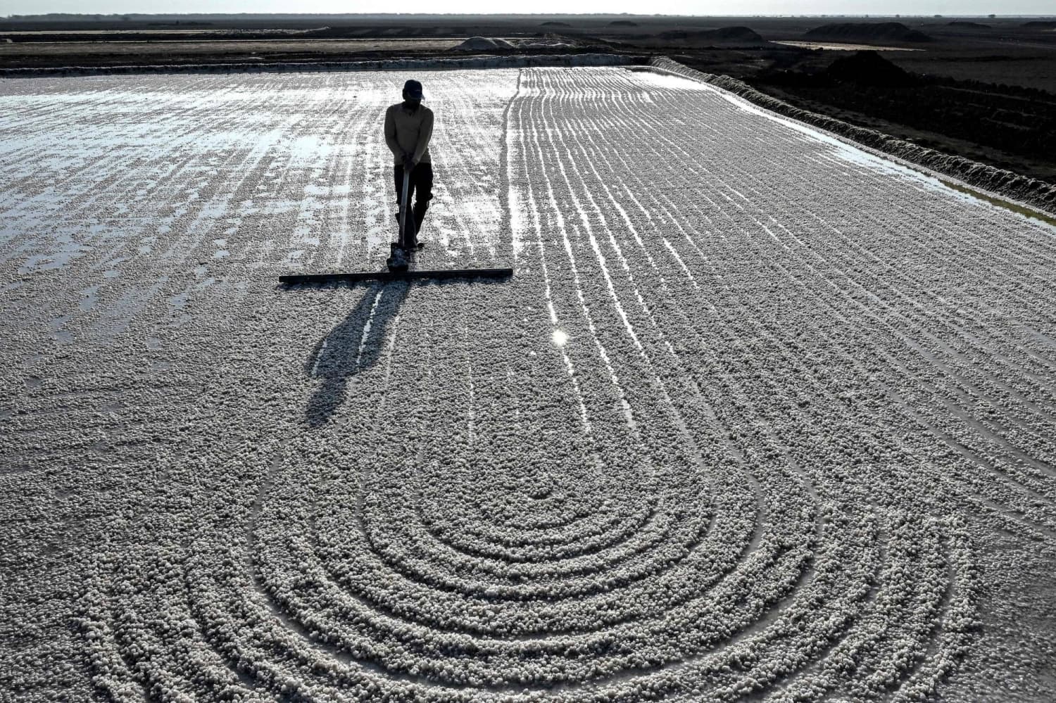 Workers Endure Extreme Heat in Gujarat's Remote Salt Pans