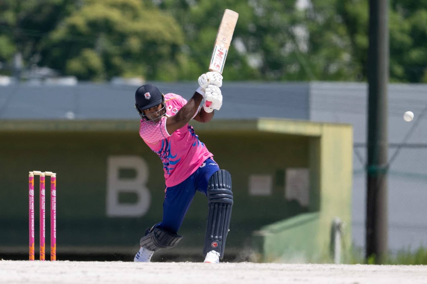 Japanese Fans Learn Cricket Ahead of Upcoming Asian Games