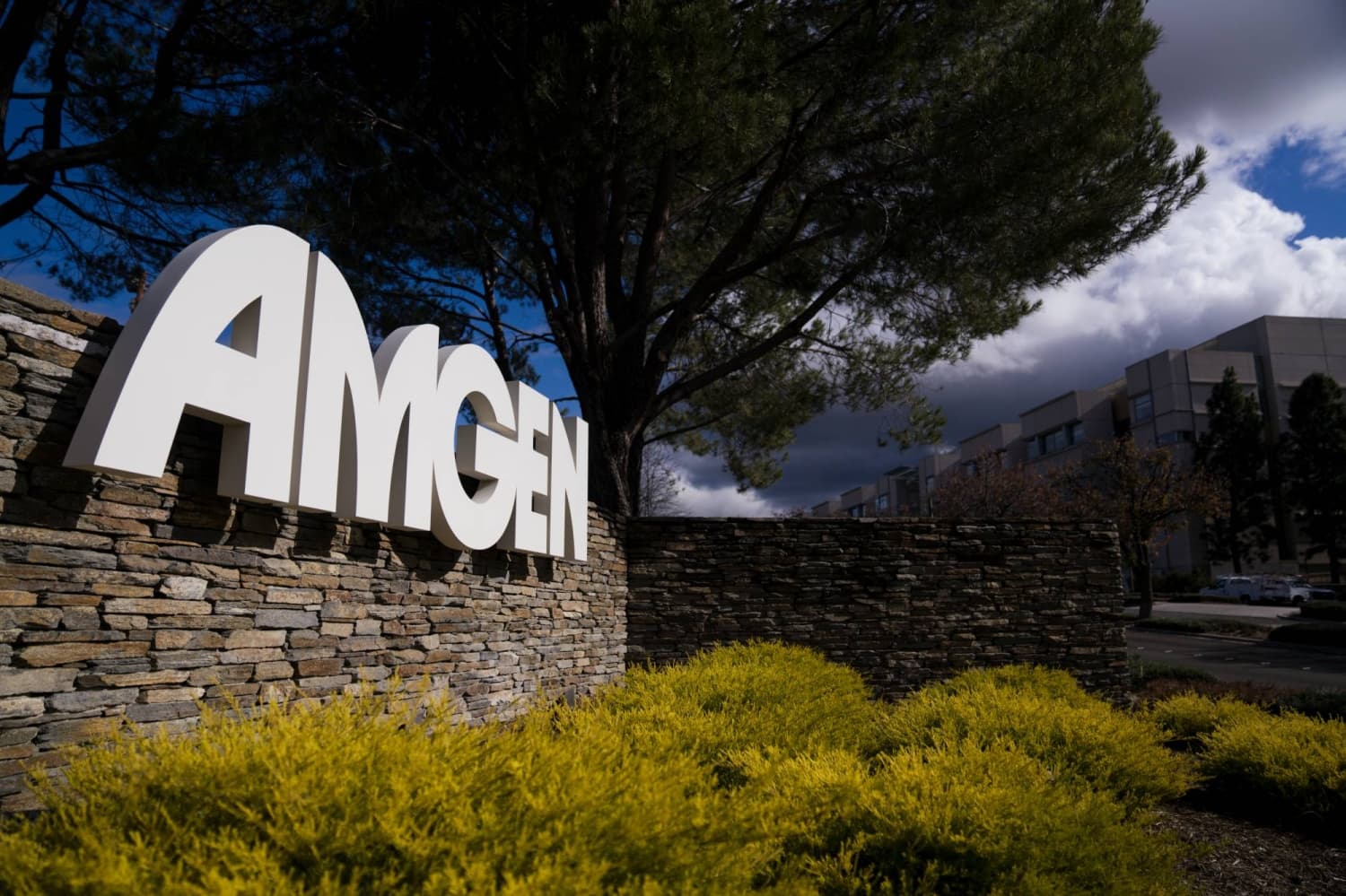 Amgen's Tavneos Faces Scrutiny After Reports of Deaths in Japan