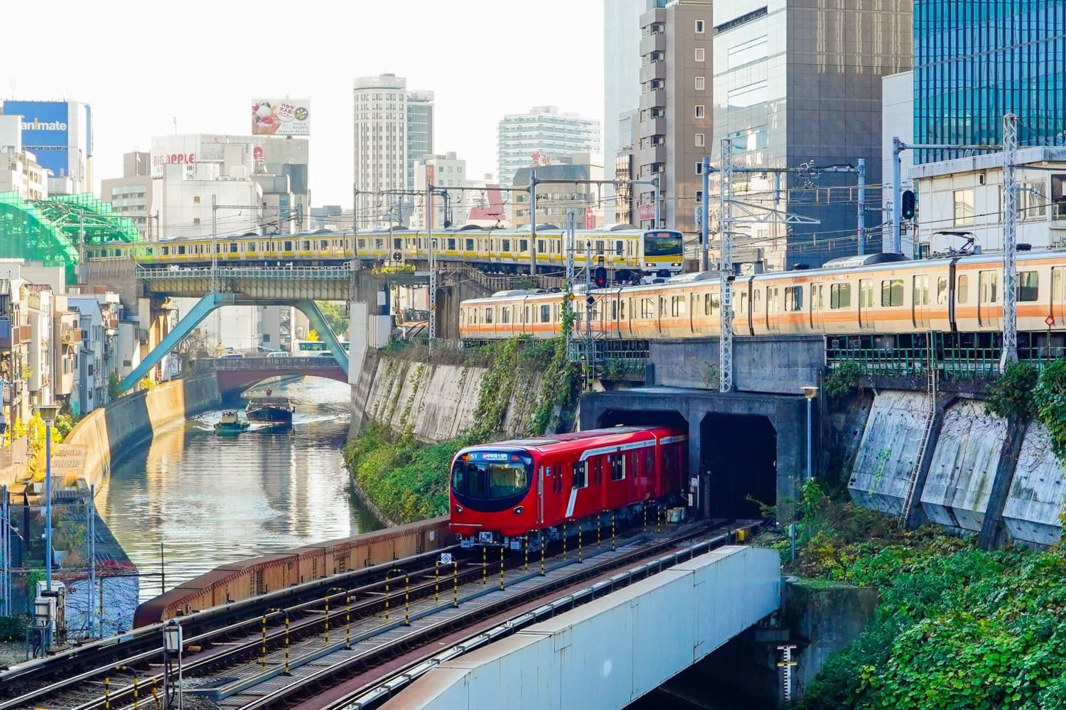 Government Advises Transport Companies to Prevent AI Misuse