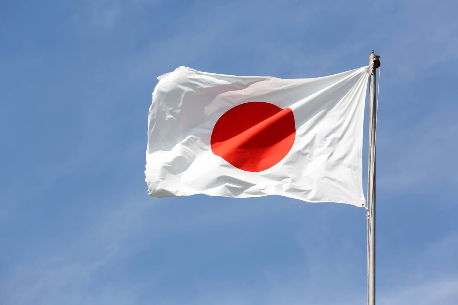 LDP Passes Legislation to Criminalize Vandalism of National Flag