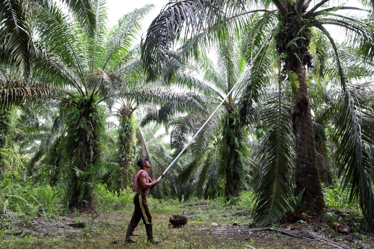 Indonesia's Export Strategy Launches Amid Investor Concerns