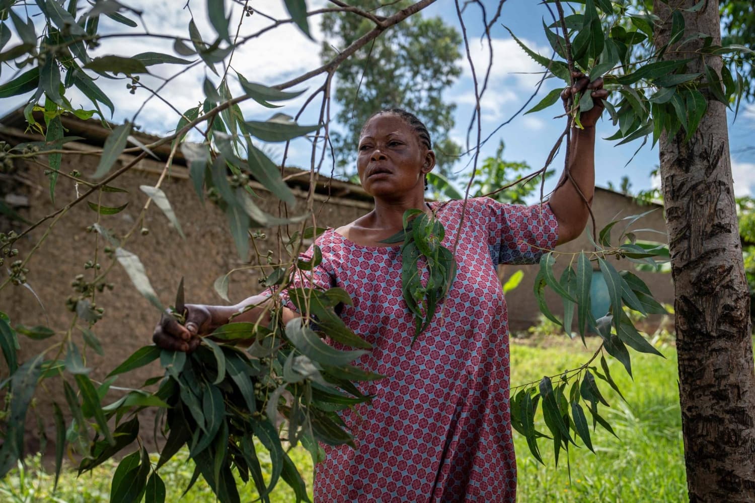 Traditional Healers Play Key Role in Congo's Ebola Response
