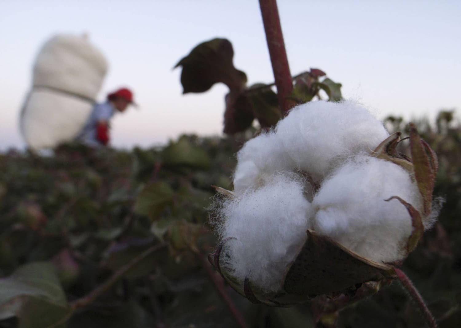 Trump’s latest tariff salvo no fix for global issue of forced labor