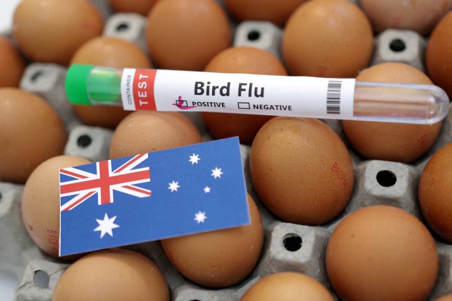 Australia Reports First Case of Contagious H5 Bird Flu Variant
