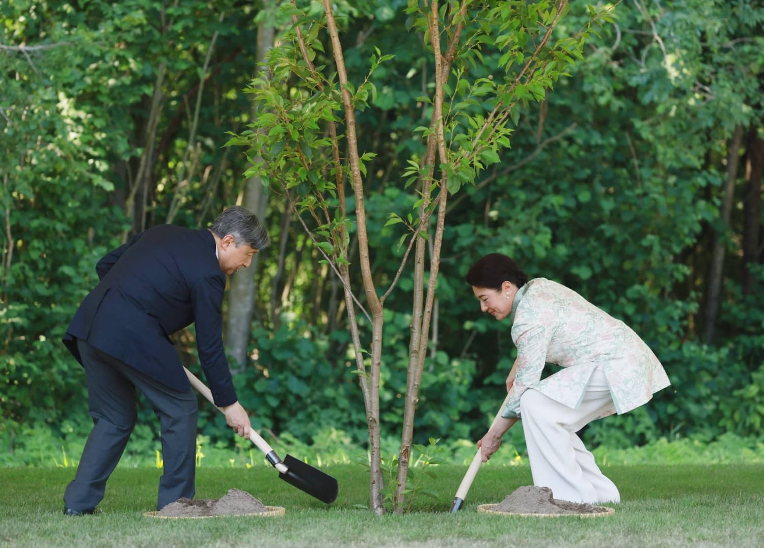 Imperial Couple Dedicates Cherry Tree in Netherlands to Earthquake Victims