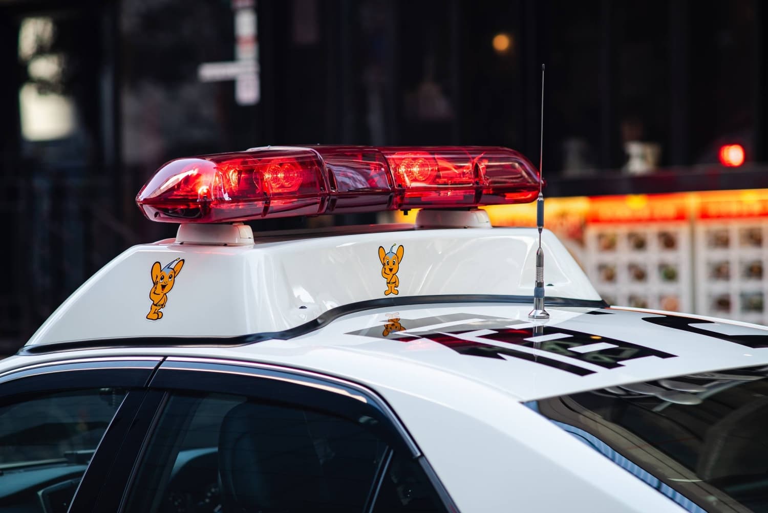 Remains of individual believed to have died 15 years ago discovered in freezer