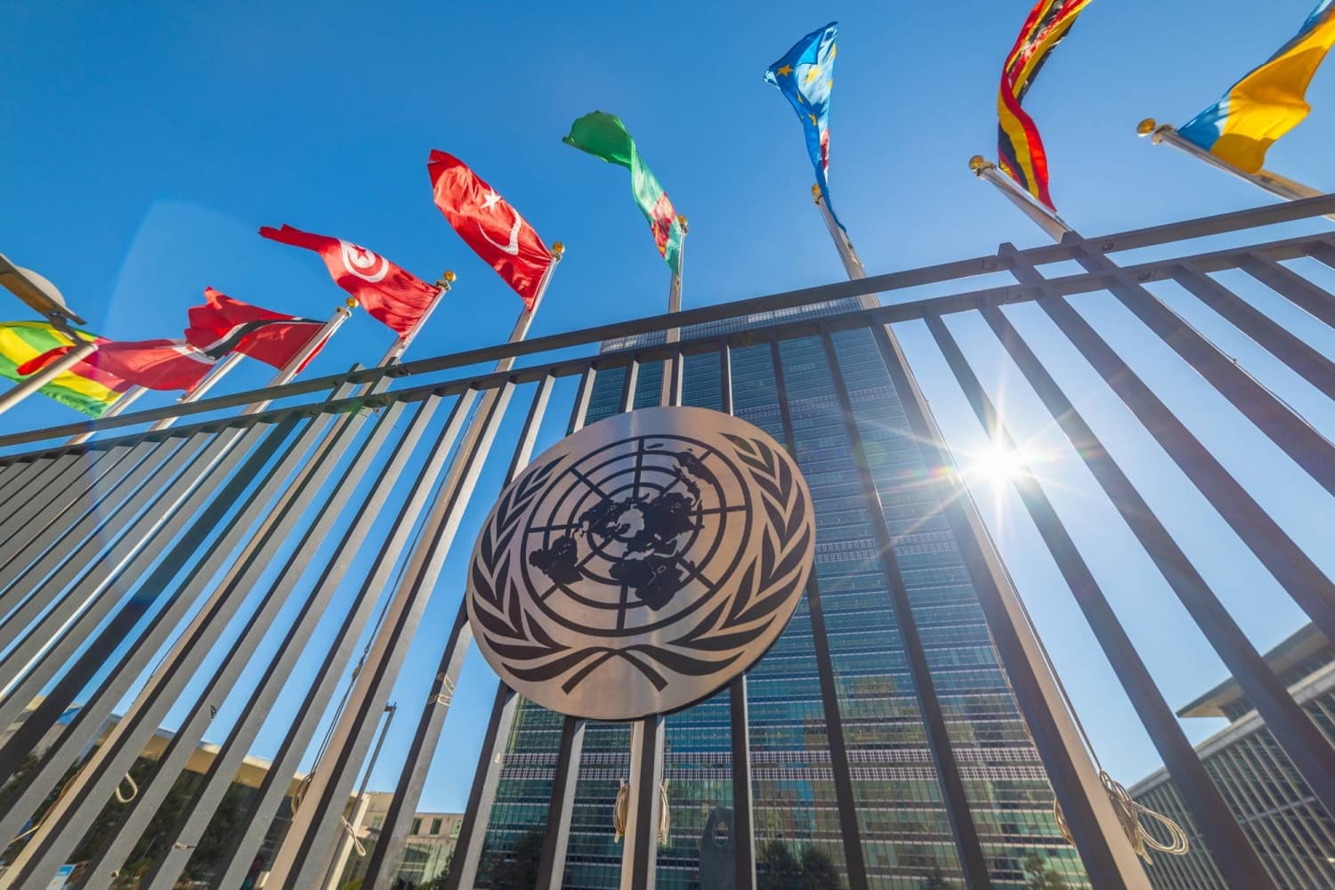 Debtor Nations Establish Their Own Collective Representation