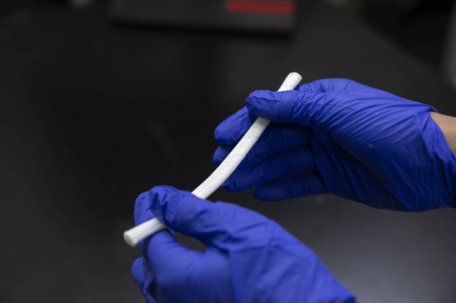 Research Explores Cow Tendons as Alternative Material for ACL Surgery