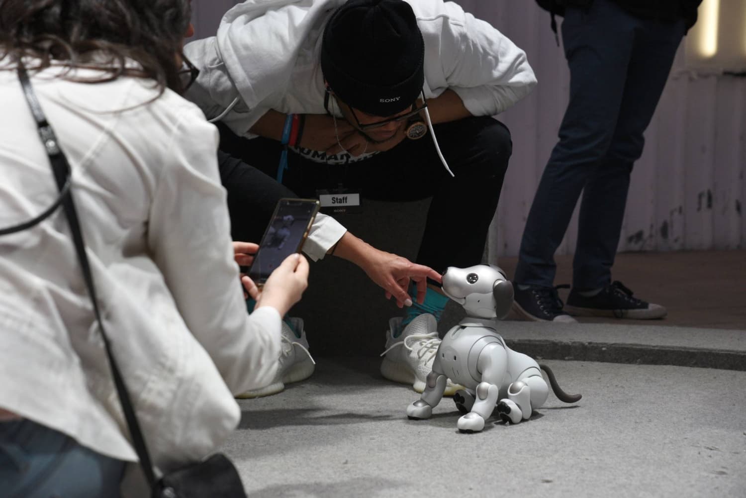 Sony Ends Sales of Aibo Robot Puppy in Japan After Years of Production