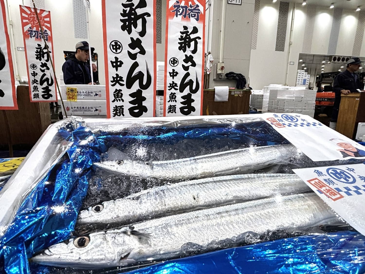 Japan's First Saury of the Season Sold for Record Price at Tokyo Market