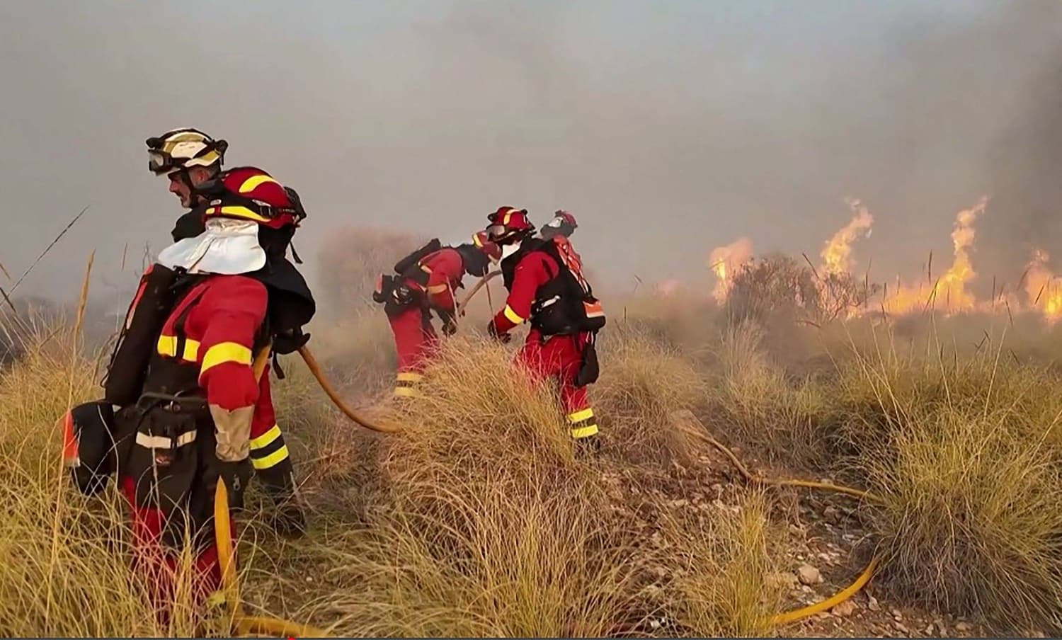 Eleven Confirmed Dead, 19 Missing in Devastating Spanish Wildfire