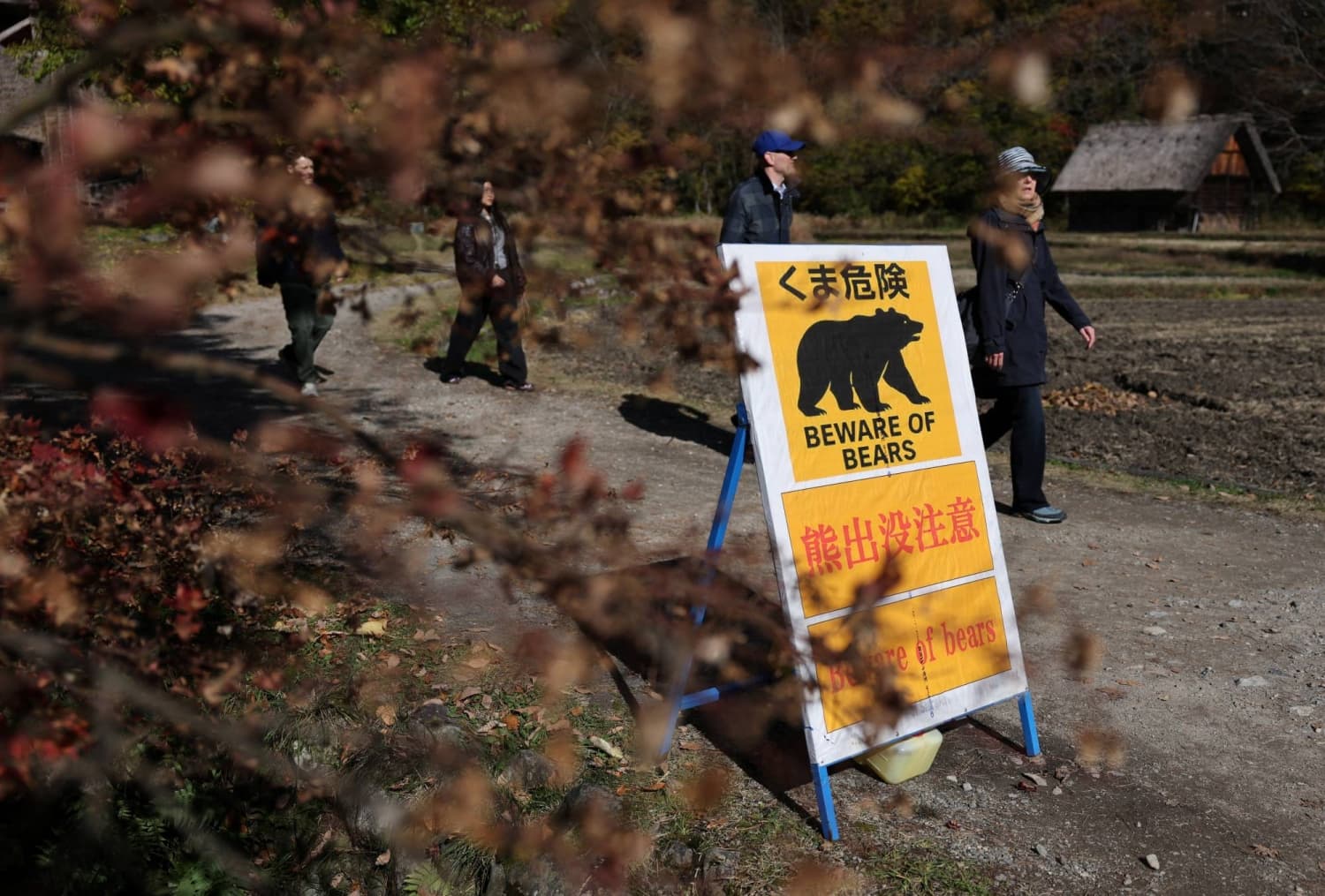 Family in Japan Discovers Bear in Their Kitchen, Alerts Authorities