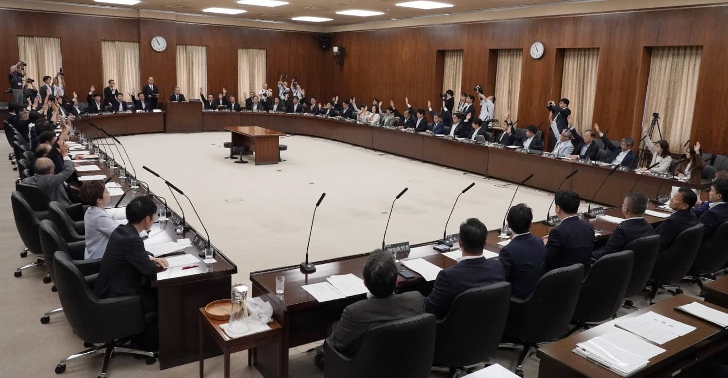 Upper House Committee Endorses Bill to Reform Referendum Process