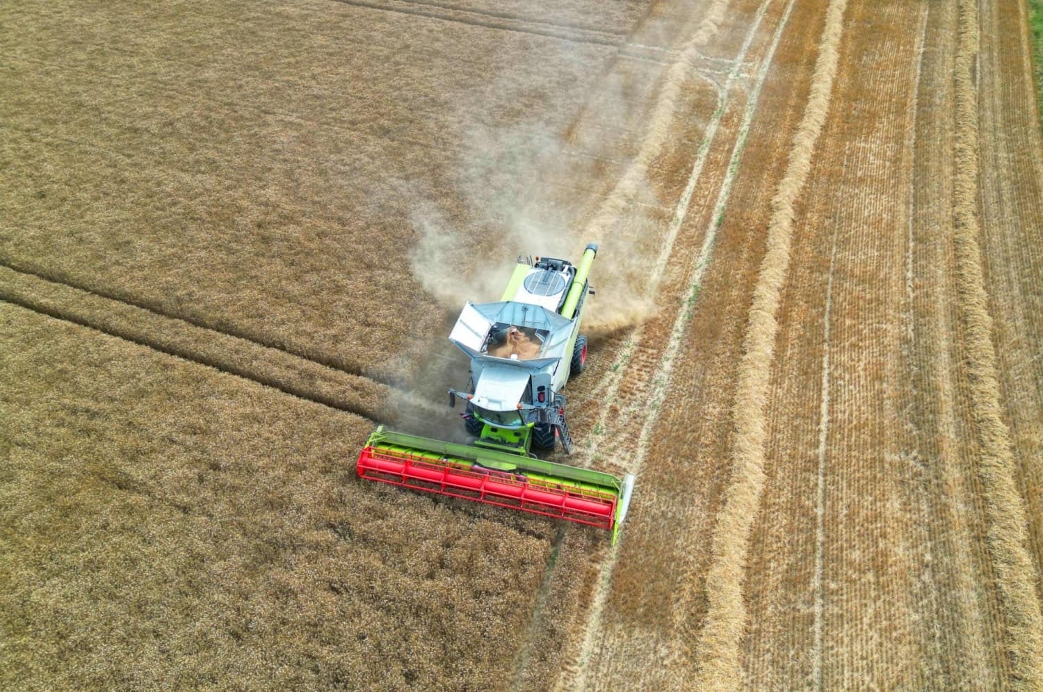 Europe's Grain Harvest Faces Severe Impact from Heat and Conflict