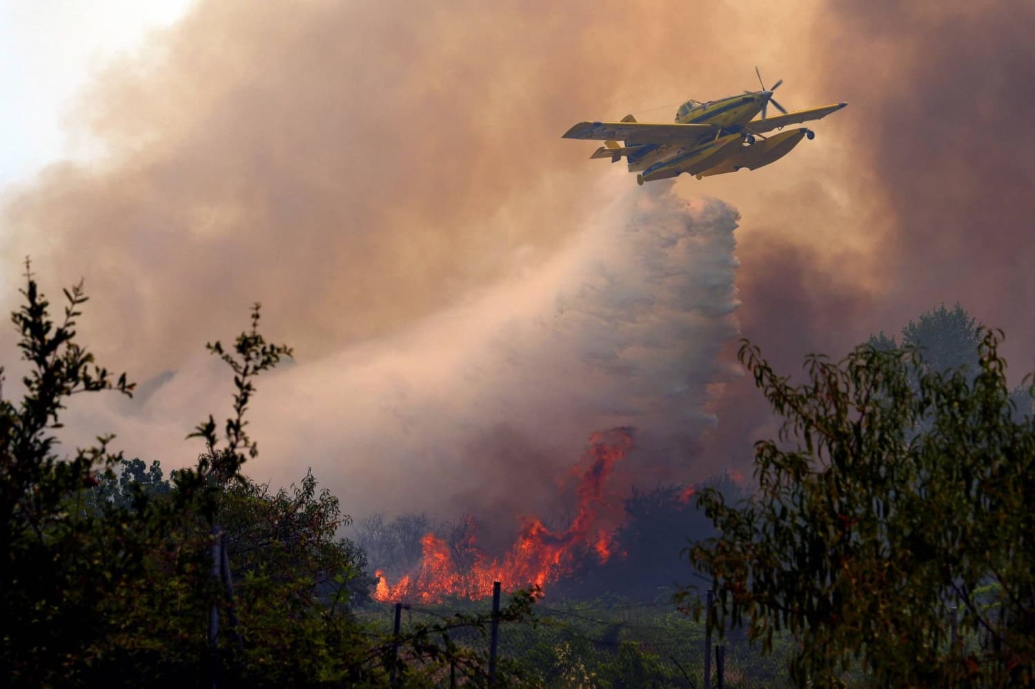 Wildfires Endanger Bordeaux as France and Spain Combat Ongoing Blazes