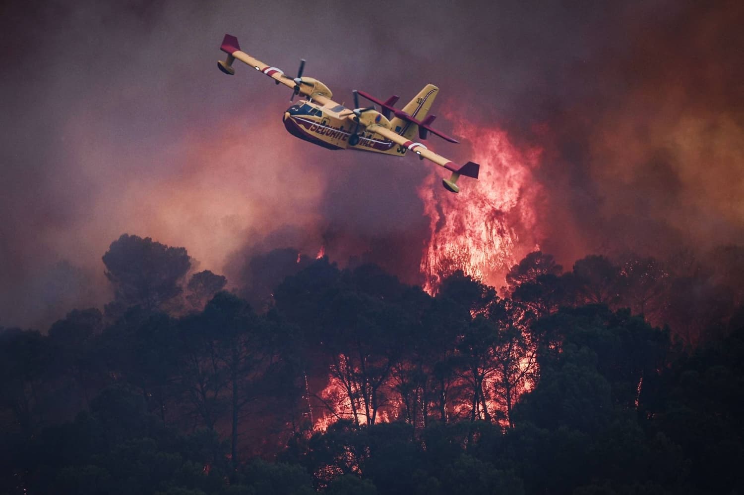 France and Spain take action against wildfires ahead of impending heatwave