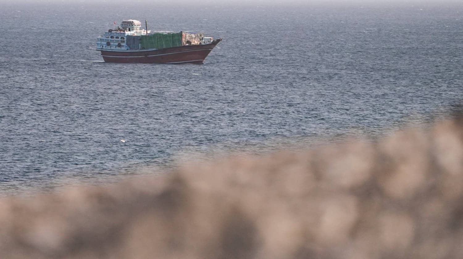 Oman Proposes Gulf-Supported Plan for Voluntary Fees in Hormuz Strait