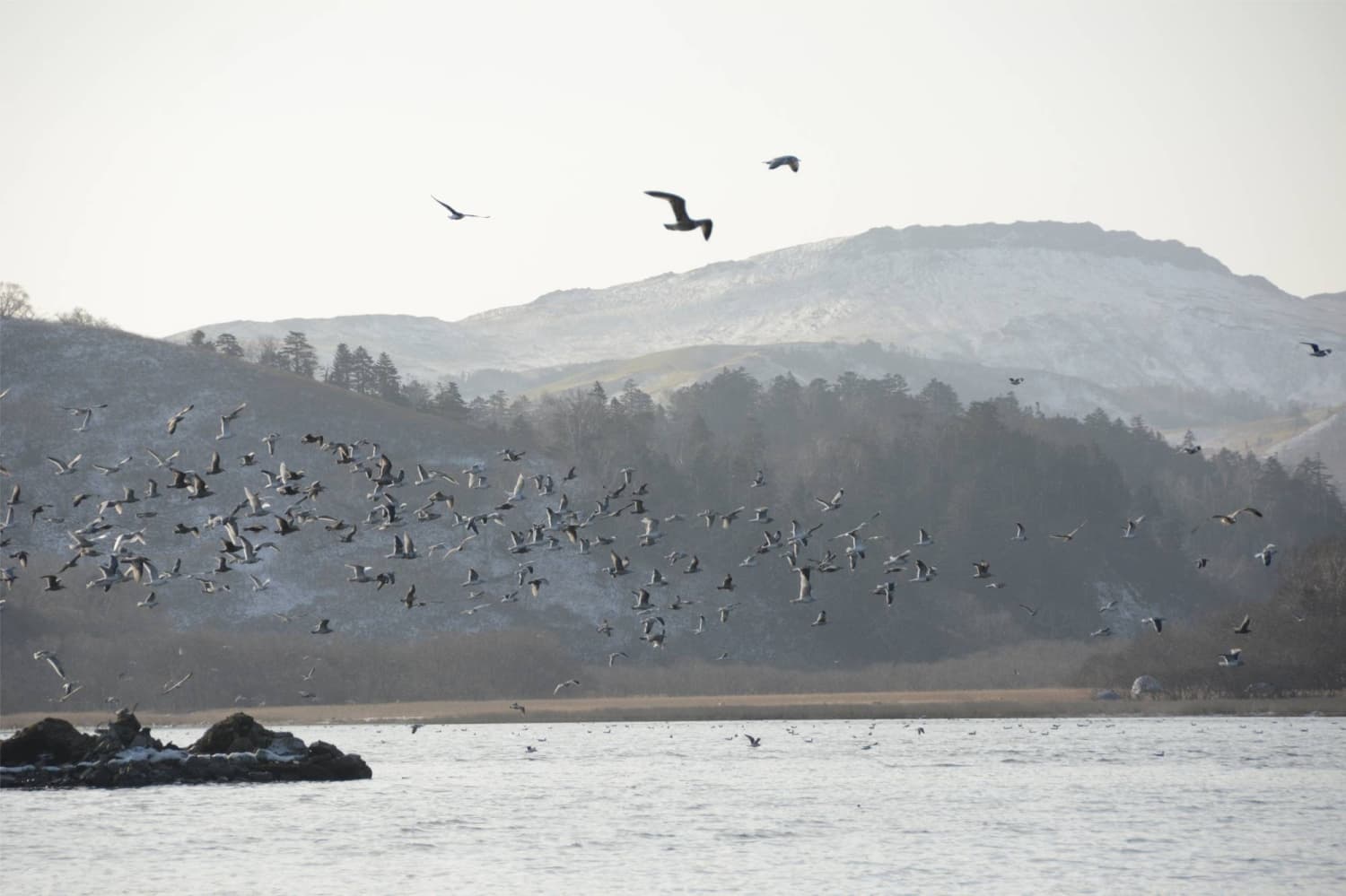 Russia to Honor Soviet Spy Sorge by Naming Island in the Lesser Kurils