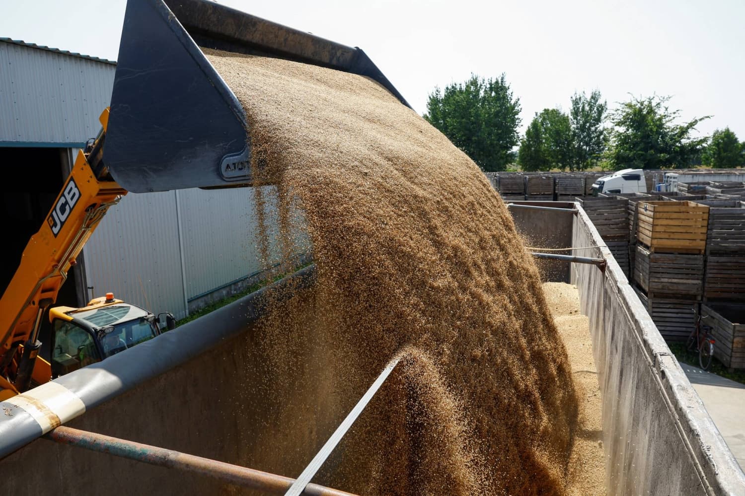 Ukrainian Farmers Face Challenges as Black Sea Blockade Affects Harvest Exports