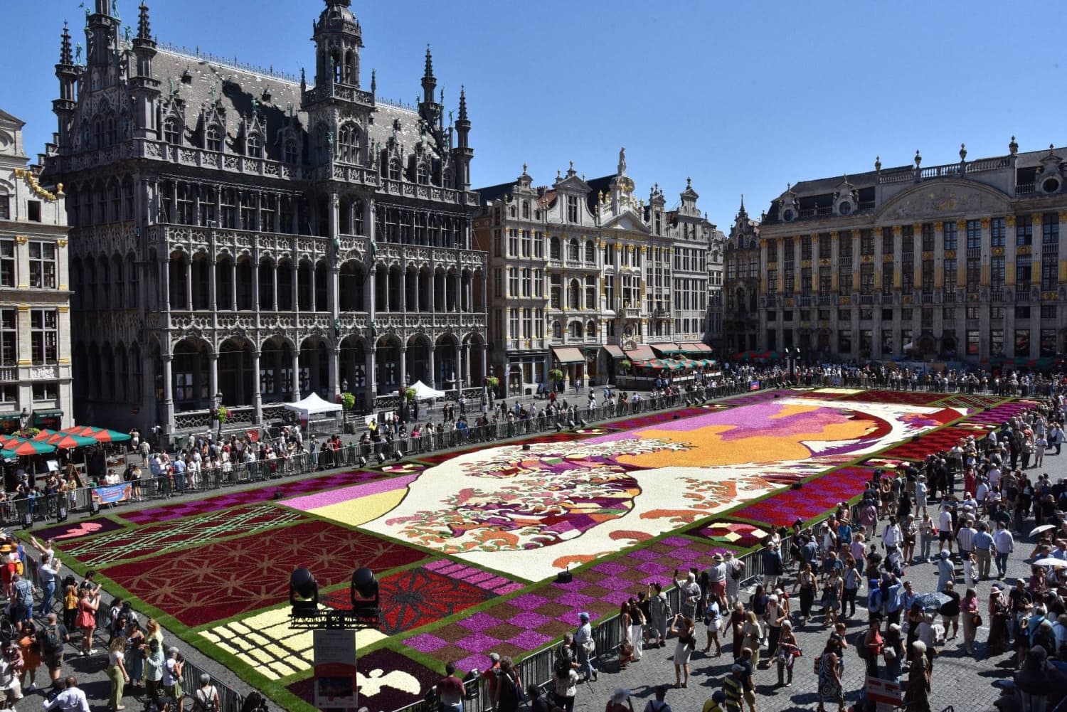 Brussels Flower Carpet Celebrates Hokusai's 'Great Wave' with 750,000 Dahlias