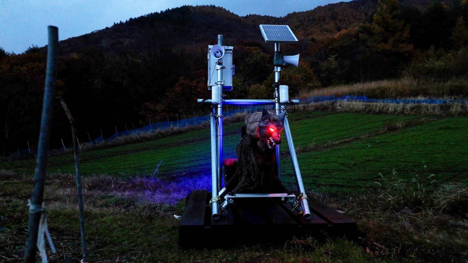 Robots Assist Aging Farmers in Northern Japan with Bear Deterrence and Cherry Transport