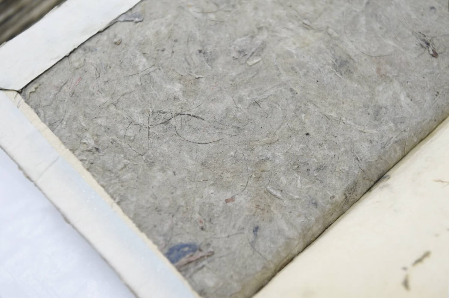 Study Reveals Edo and Meiji Diets Had Higher Mineral Content Than Today's Diets
