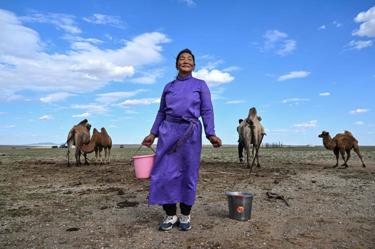 Mongolian Herders Use Technology to Adapt to Climate Challenges