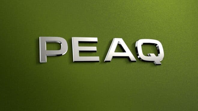 Skoda, Vision 7S konseptini Peaq ismiyle üretime alacak