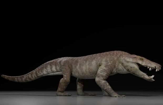 70 Milyon Yıllık Dinozor Avcısı, Mısır Tanrısının Adını Aldı