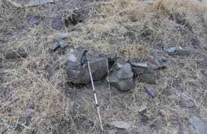 Homininler 800.000 Yıl Önce Belirli Taş Kaynaklarını Tercih Ediyordu