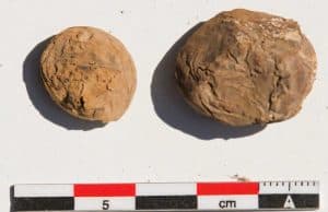 Peru'da 500 Yıllık Kurutulmuş Patatesler Bulundu