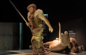 Neandertal Evrimi Basit ve Doğrusal Değil