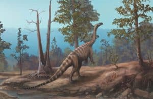 Zimbabve'de 210 Milyon Yıllık Dinozor Bulundu