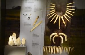 Tunç Çağı Şamanının Kadın Olduğu Belirlendi
