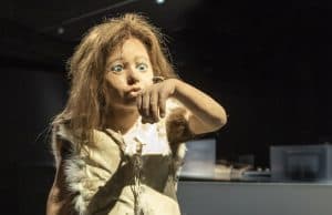Neandertallerin Beslenme Alışkanlıkları: Mamut mu, Kurtçuk mu?