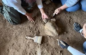 Bilecik'teki Mağarada 16.000 Yıllık Kaplumbağa Heykelleri Bulundu