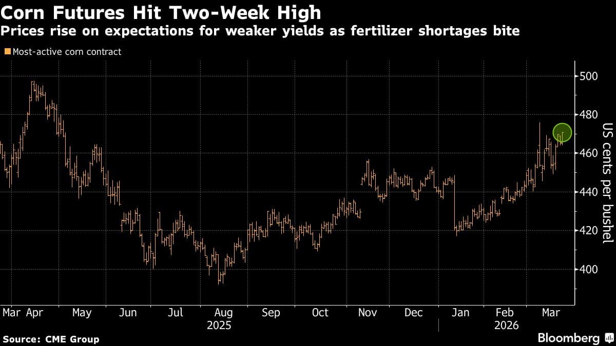 Corn Hits Two-Week High as Iran War Threatens Fertilizer Supply