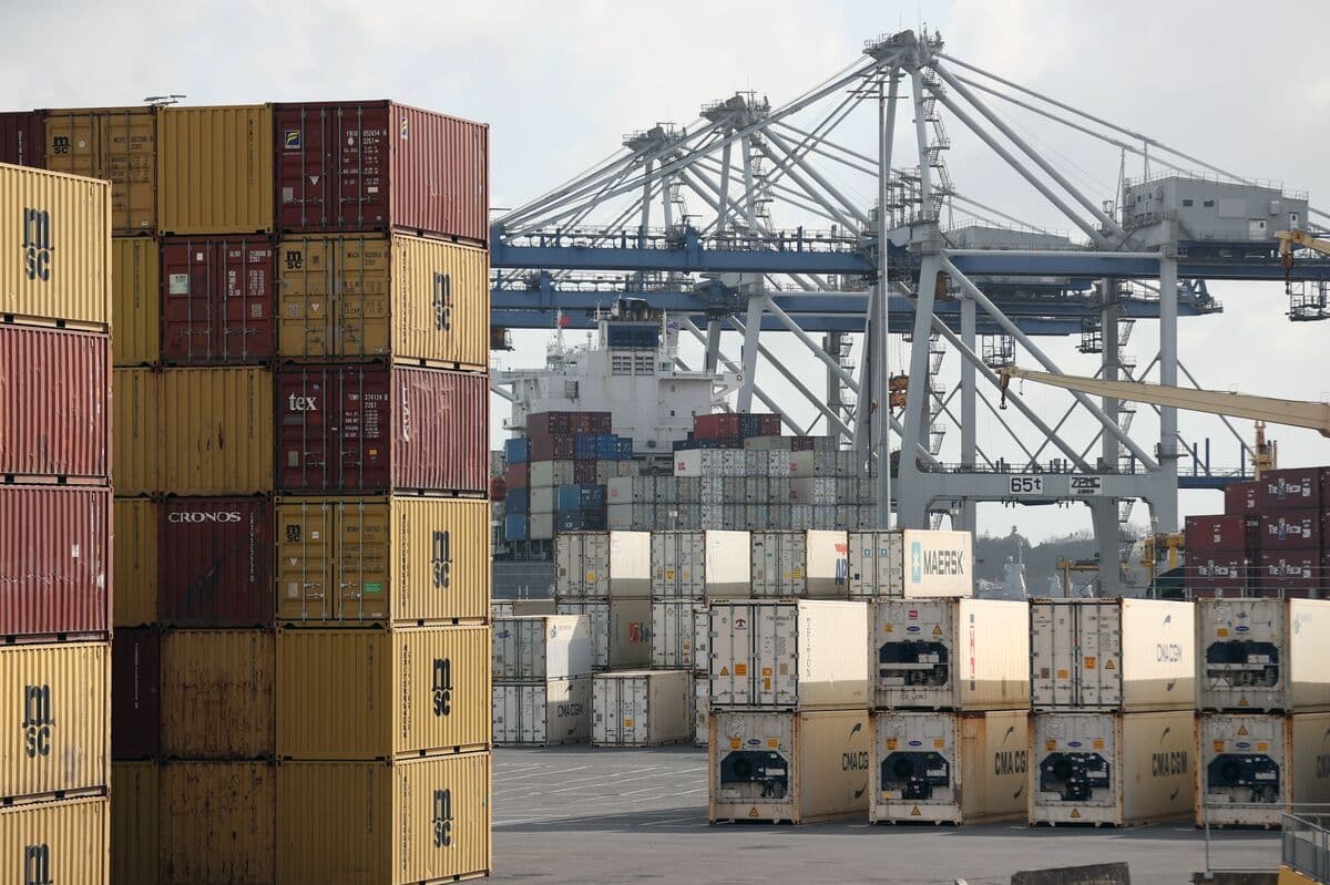 New Zealand's Meat Exports to the US Reach Record Highs, Boosting Overall Exports